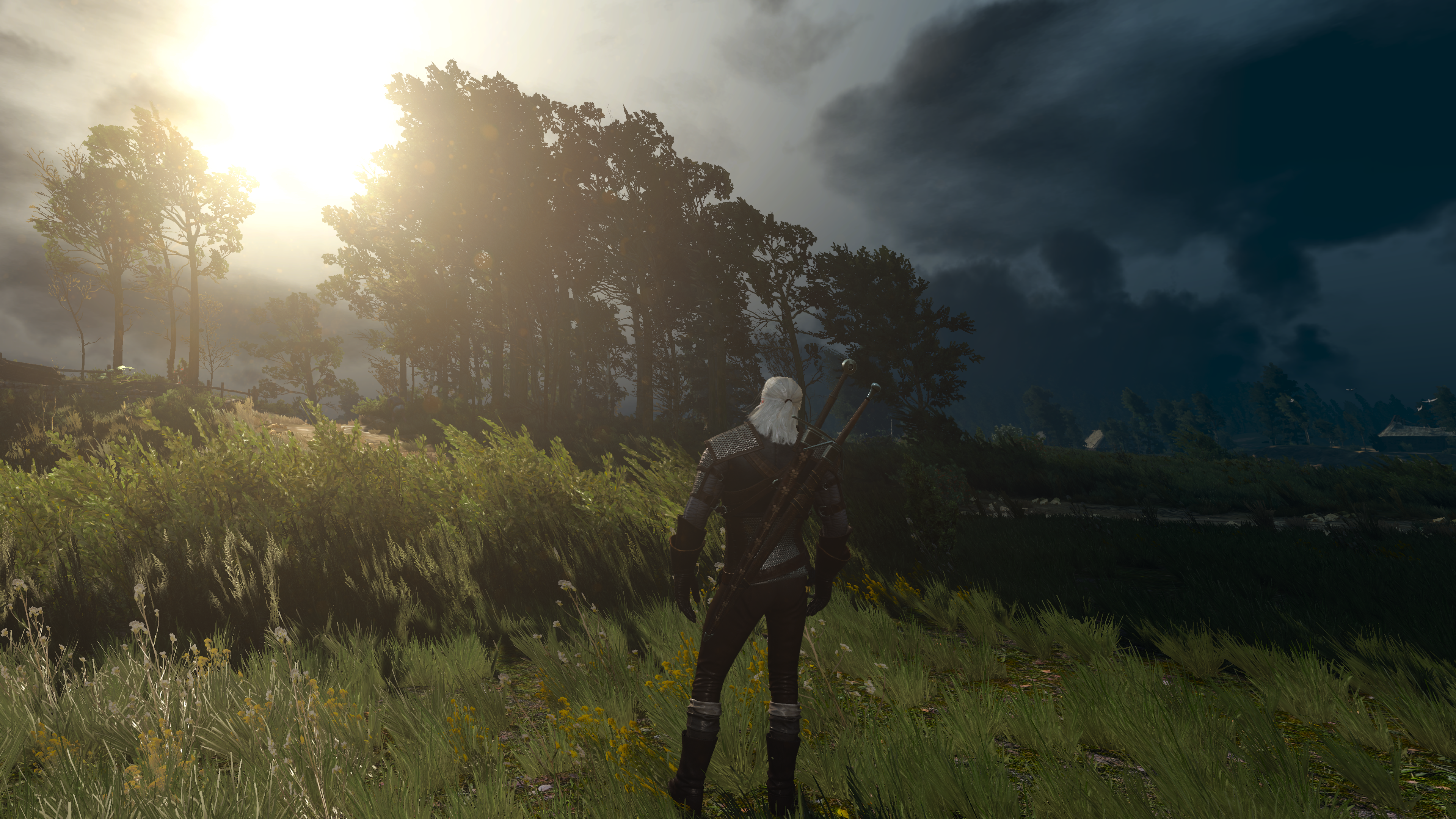Witcher3_4K_Ultra_003.png